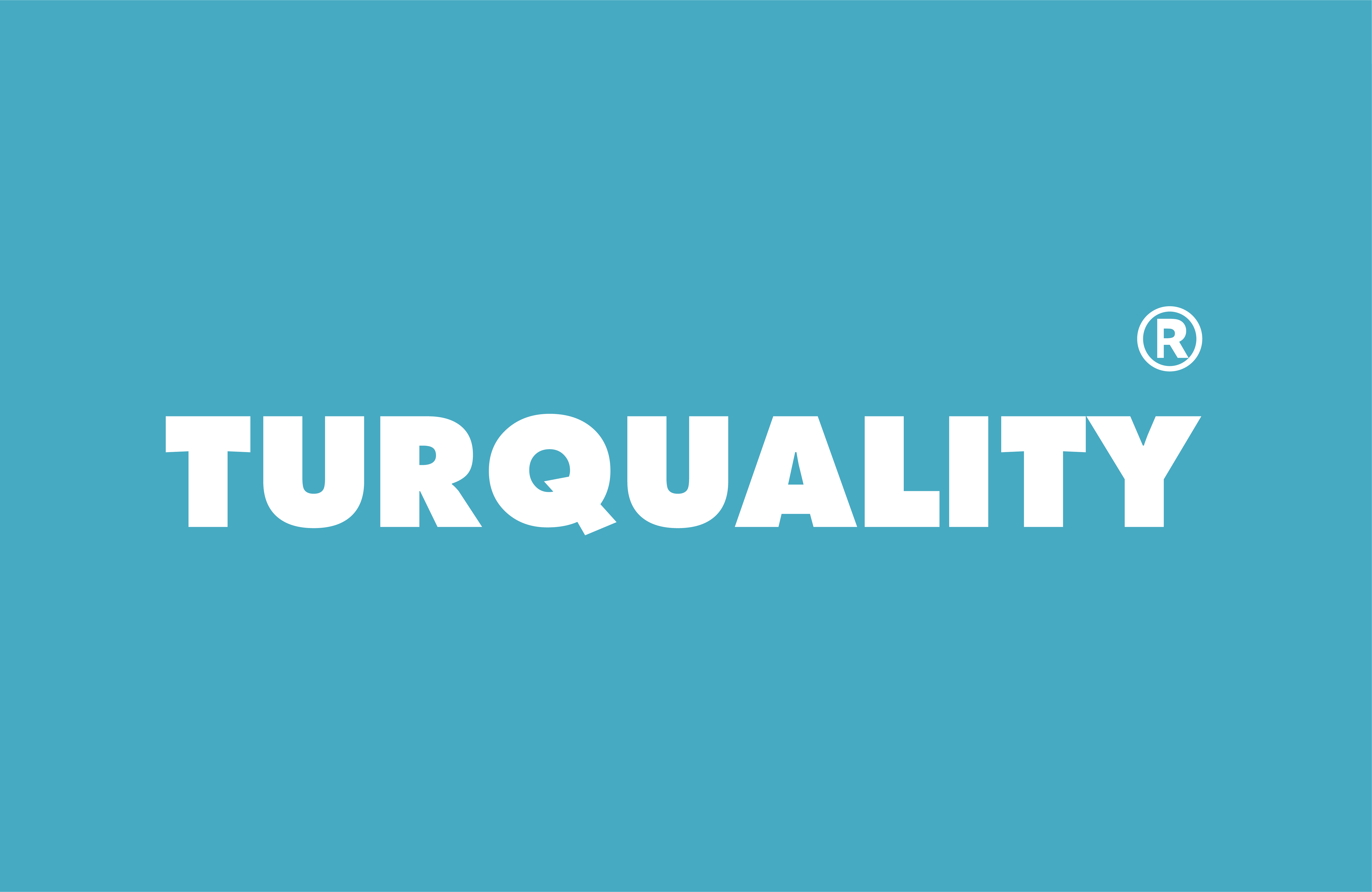Logo of Turquality